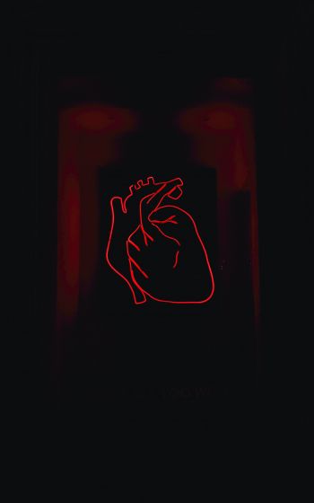 Обои 800x1280 сердце, красный, очертание