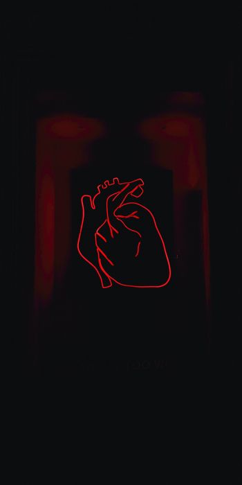 Обои 720x1440 сердце, красный, очертание
