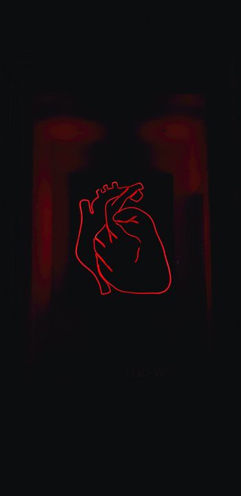 Обои 1080x2220 сердце, красный, очертание
