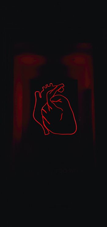 heart, red, outline Wallpaper 1440x3040
