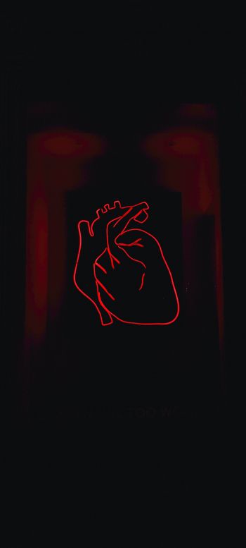 Обои 720x1600 сердце, красный, очертание