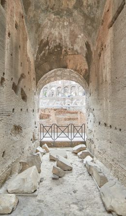 colosseum, Rome, Italy Wallpaper 600x1024