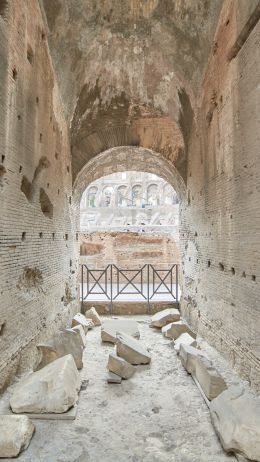 Обои 1440x2560 Колизей, Рим, Италия