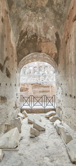 colosseum, Rome, Italy Wallpaper 828x1792