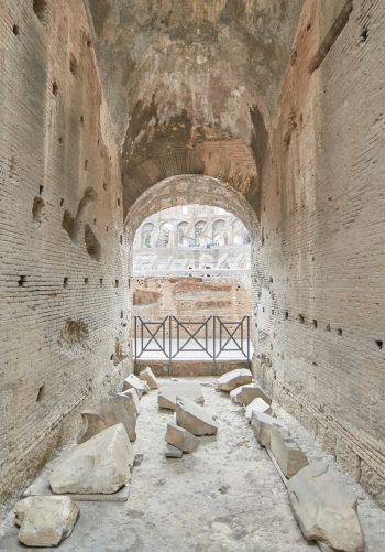 colosseum, Rome, Italy Wallpaper 1668x2388