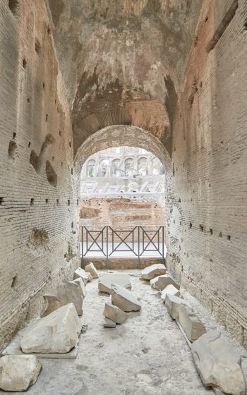 colosseum, Rome, Italy Wallpaper 800x1280
