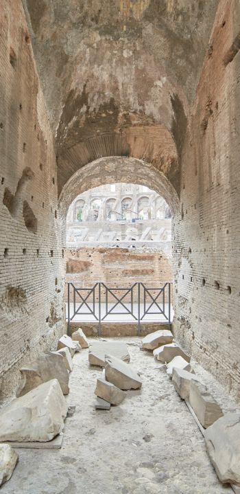 colosseum, Rome, Italy Wallpaper 1440x2960