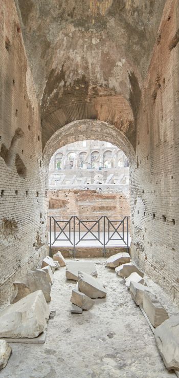 colosseum, Rome, Italy Wallpaper 720x1520