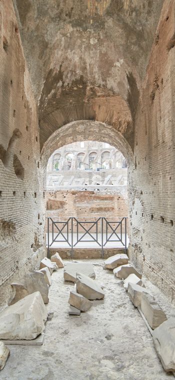 Обои 828x1792 Колизей, Рим, Италия