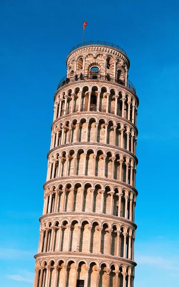 Обои 800x1280 Пизанская башня, Пиза, Италия