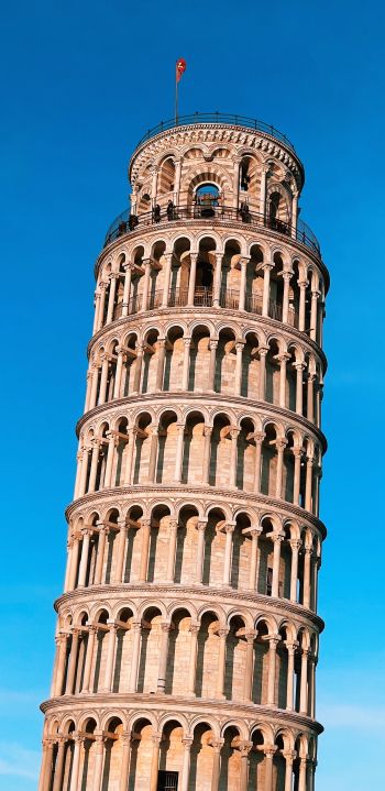 Обои 1080x2220 Пизанская башня, Пиза, Италия
