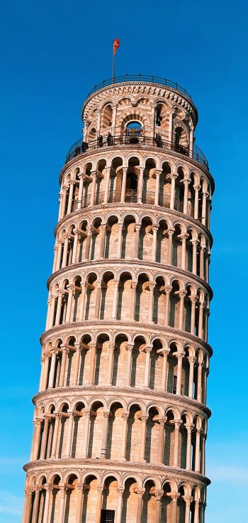 Leaning Tower of Pisa, Pisa, Italy Wallpaper 1080x2280