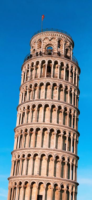 Обои 828x1792 Пизанская башня, Пиза, Италия