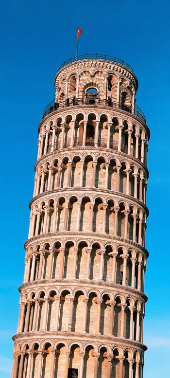 Leaning Tower of Pisa, Pisa, Italy Wallpaper 1440x3200