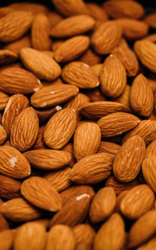 almond, nuts, brown Wallpaper 1752x2800