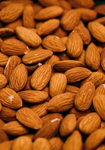 almond, nuts, brown Wallpaper 1668x2388