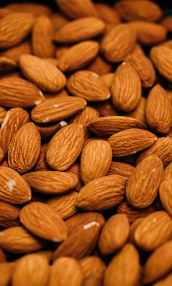 almond, nuts, brown Wallpaper 1200x2000