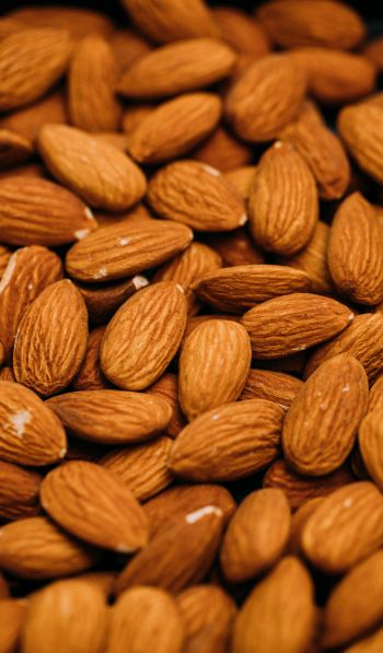 almond, nuts, brown Wallpaper 600x1024
