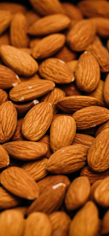 almond, nuts, brown Wallpaper 1284x2778