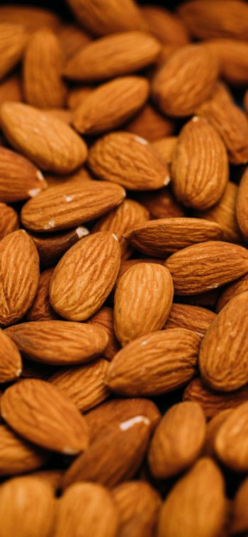 almond, nuts, brown Wallpaper 1080x2340