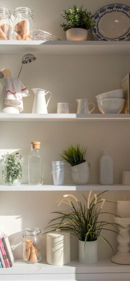 interior, plants, shelf Wallpaper 1080x2340