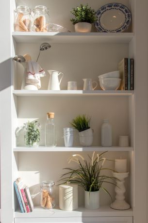 interior, plants, shelf Wallpaper 3423x5134