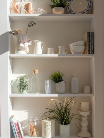 interior, plants, shelf Wallpaper 1620x2160