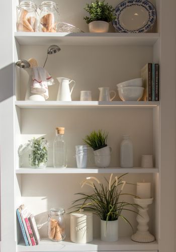 interior, plants, shelf Wallpaper 1668x2388