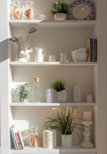 interior, plants, shelf Wallpaper 1640x2360