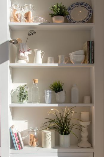 interior, plants, shelf Wallpaper 640x960