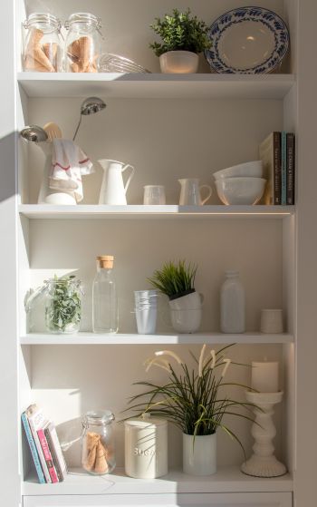 interior, plants, shelf Wallpaper 1752x2800