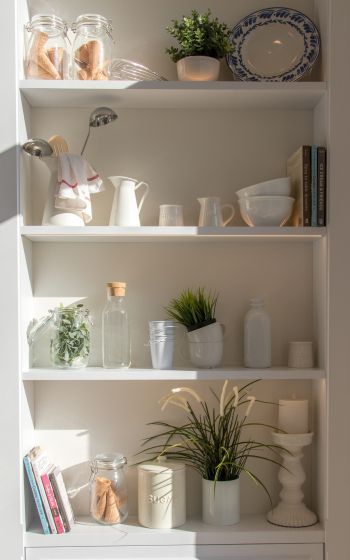 interior, plants, shelf Wallpaper 800x1280