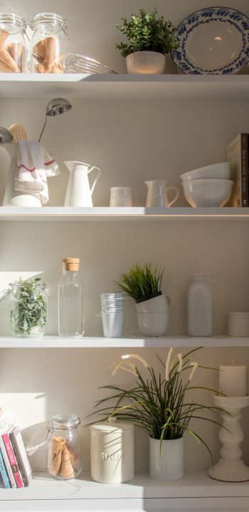 interior, plants, shelf Wallpaper 1440x2960