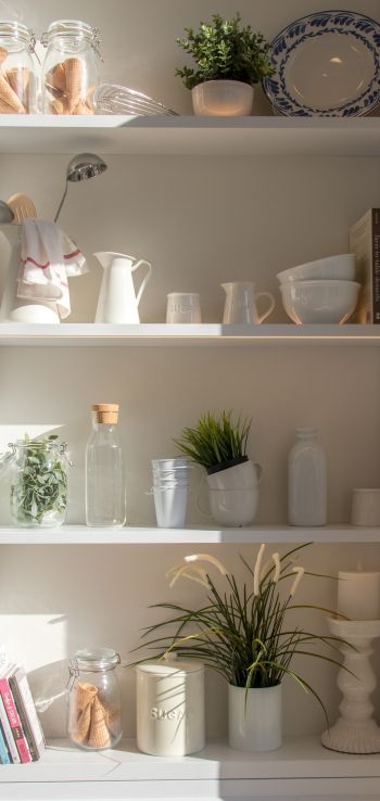 interior, plants, shelf Wallpaper 720x1520