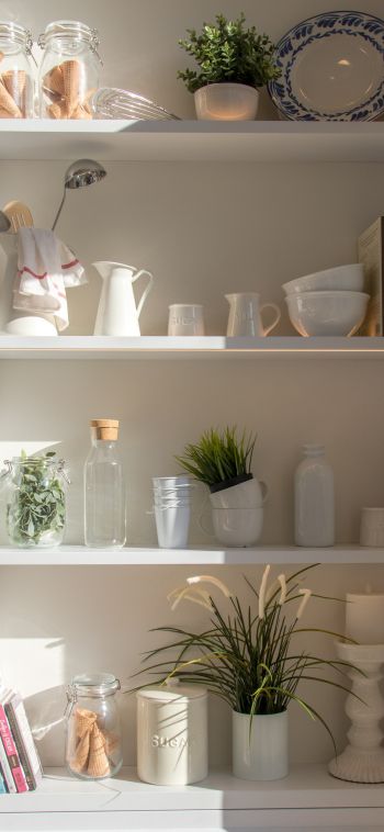 interior, plants, shelf Wallpaper 1080x2340