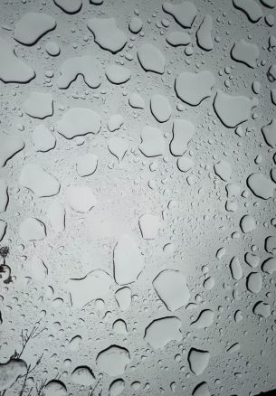 water droplets, sadness Wallpaper 1640x2360