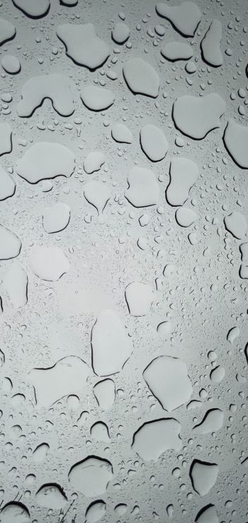 water droplets, sadness Wallpaper 1080x2280