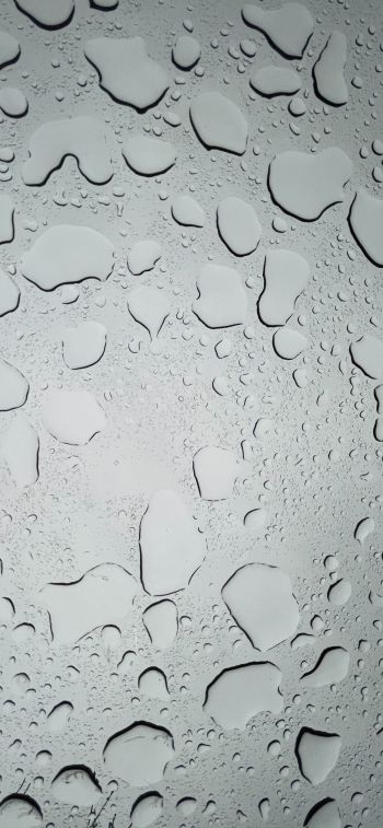 water droplets, sadness Wallpaper 1170x2532
