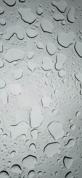 water droplets, sadness Wallpaper 1080x2340