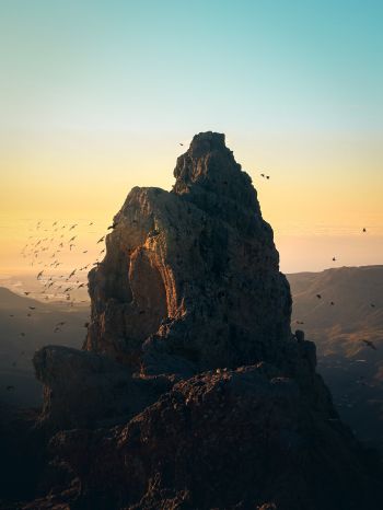 mountain, birds, dawn Wallpaper 1620x2160