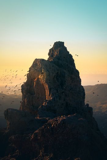 mountain, birds, dawn Wallpaper 640x960