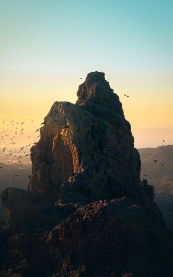 mountain, birds, dawn Wallpaper 1200x1920