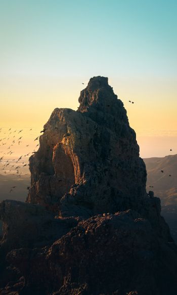 mountain, birds, dawn Wallpaper 1200x2000