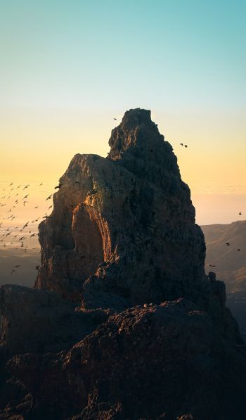 mountain, birds, dawn Wallpaper 600x1024