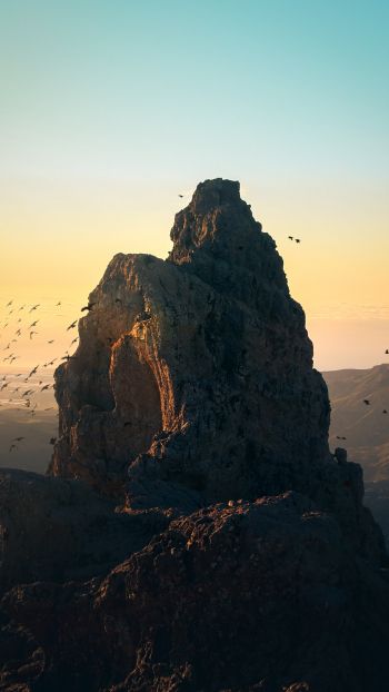mountain, birds, dawn Wallpaper 1080x1920