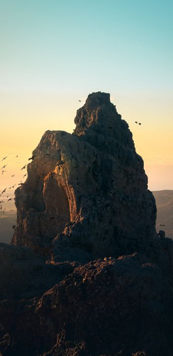 mountain, birds, dawn Wallpaper 1080x2220