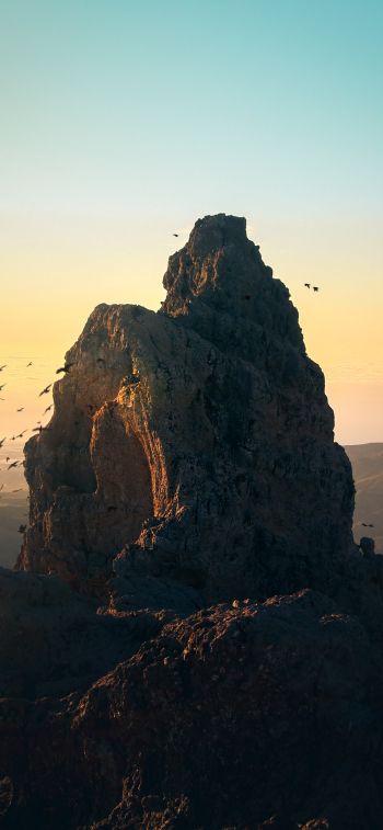 mountain, birds, dawn Wallpaper 828x1792