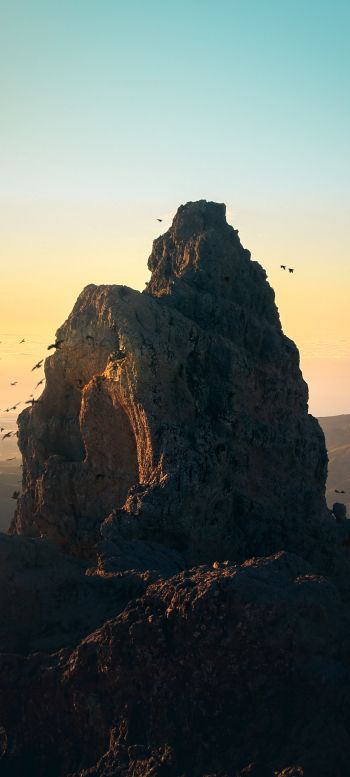 mountain, birds, dawn Wallpaper 1440x3200