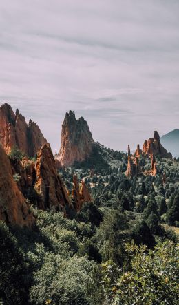 mountains, rocks, forest Wallpaper 600x1024