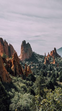 mountains, rocks, forest Wallpaper 640x1136